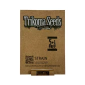 American Cookies fem (Trikoma Seeds), Испания